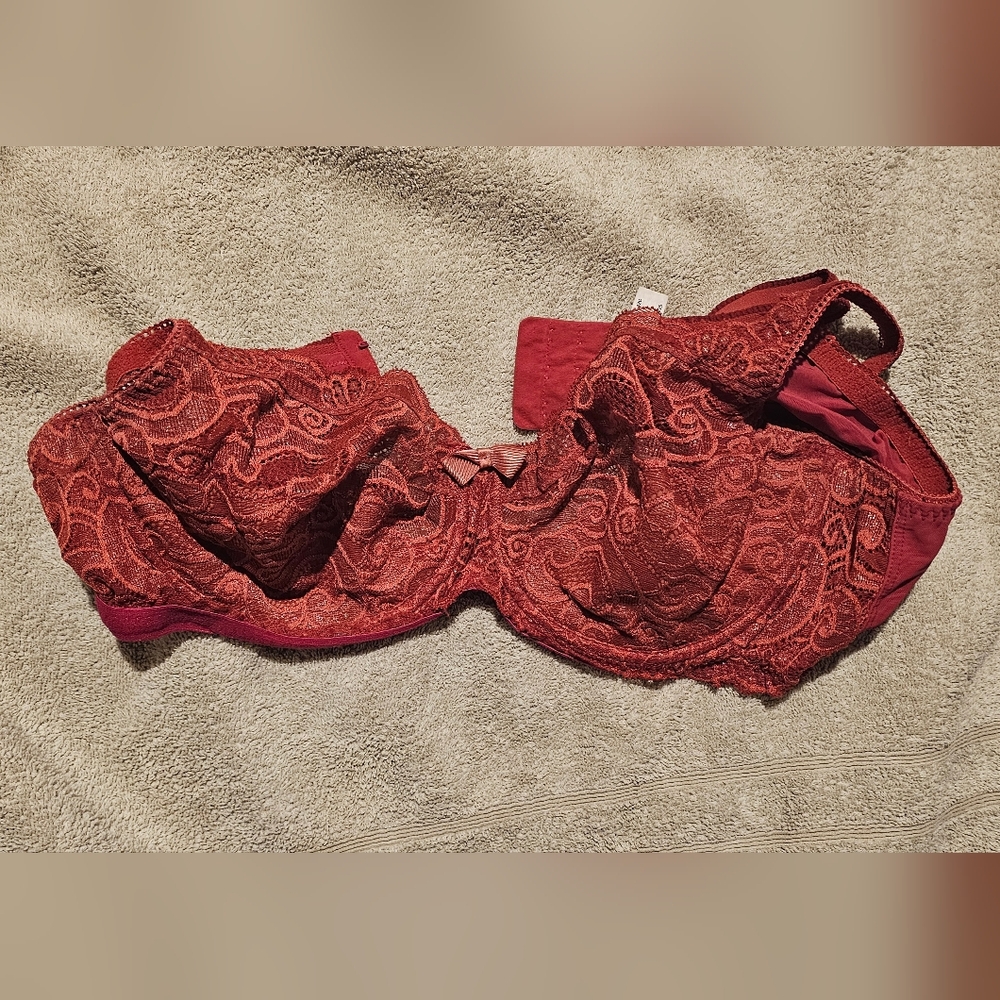 Torrid Bras - image 2
